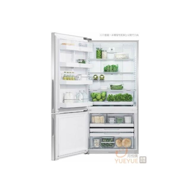 Fisher & Paykel 519公升 Active Smart 不鏽鋼無把手雙門冰箱